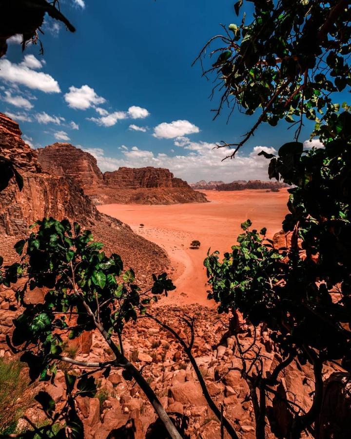 Golden Day Wadi Rum Exterior foto