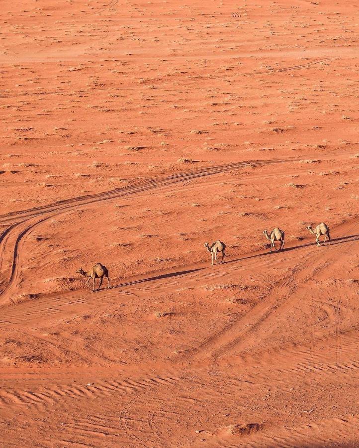 Golden Day Wadi Rum Exterior foto